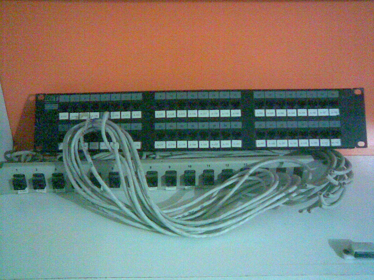 20100213.jpg