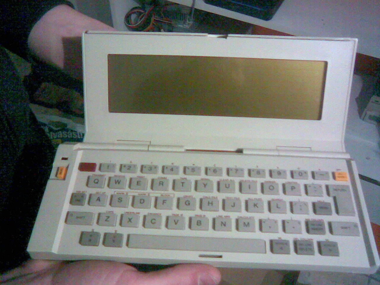 20100213(002).jpg