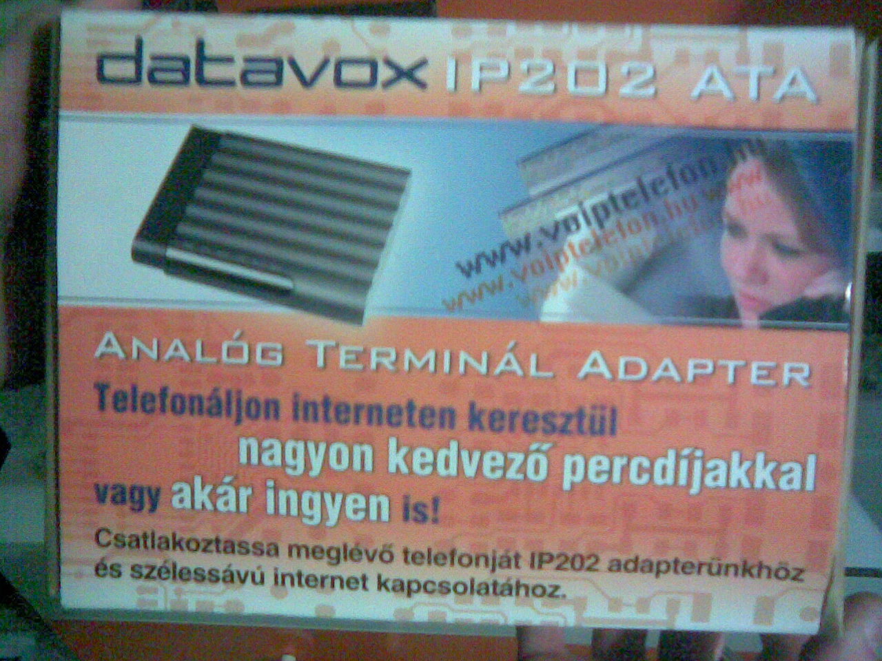 20100213(003).jpg